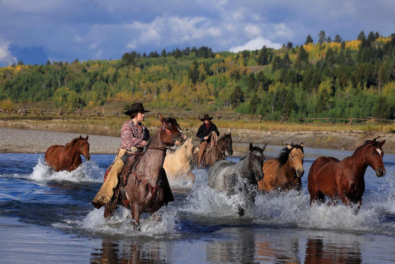 HEART SIX RANCH MORAN, WY (United States) - from £ 94 | HOTELMIX